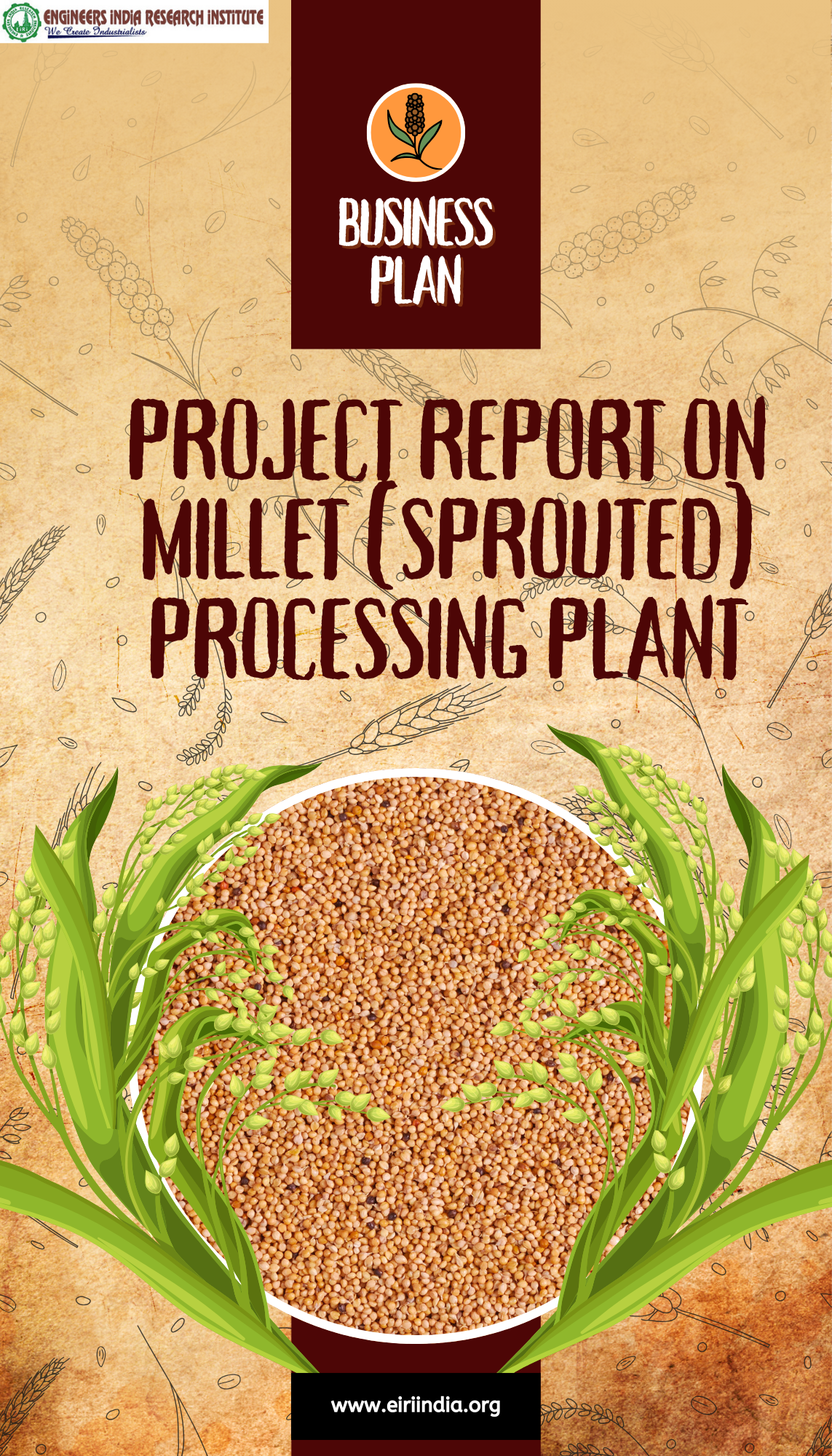 Millet (Sprouted) Processing Plant (Cap: 600 Kg/Day)